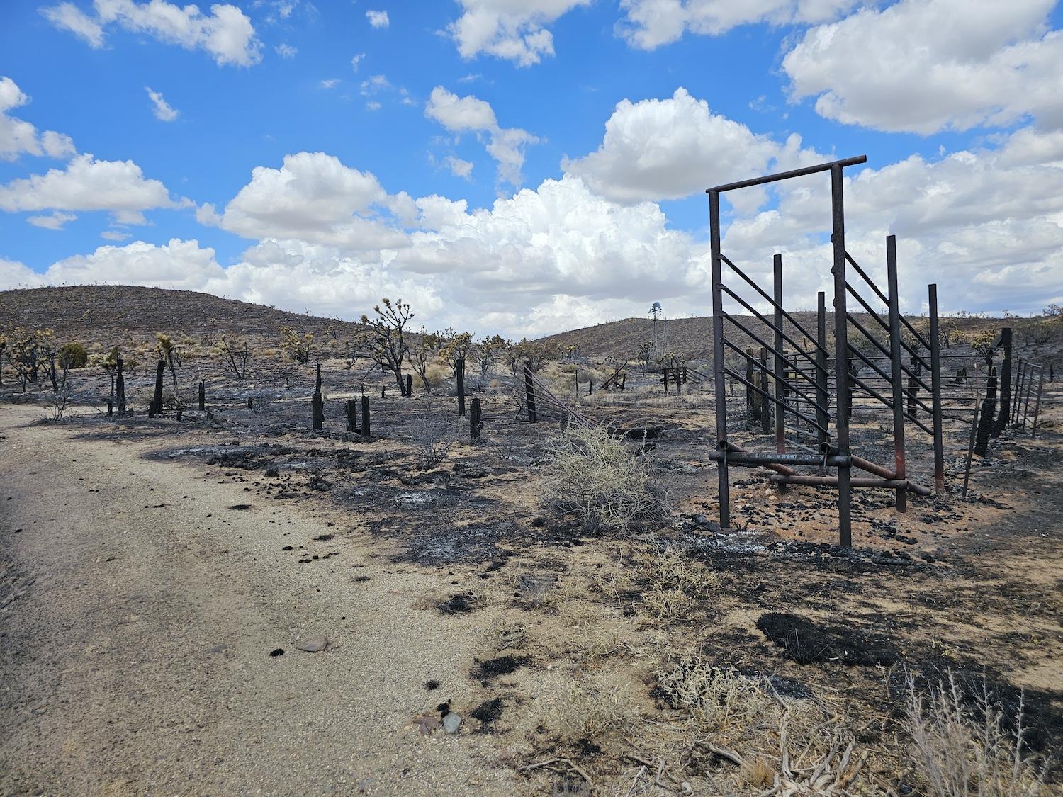 The York Fire destroyed the Barnwell Corral at Mojave National Preserve/Jacob Overson