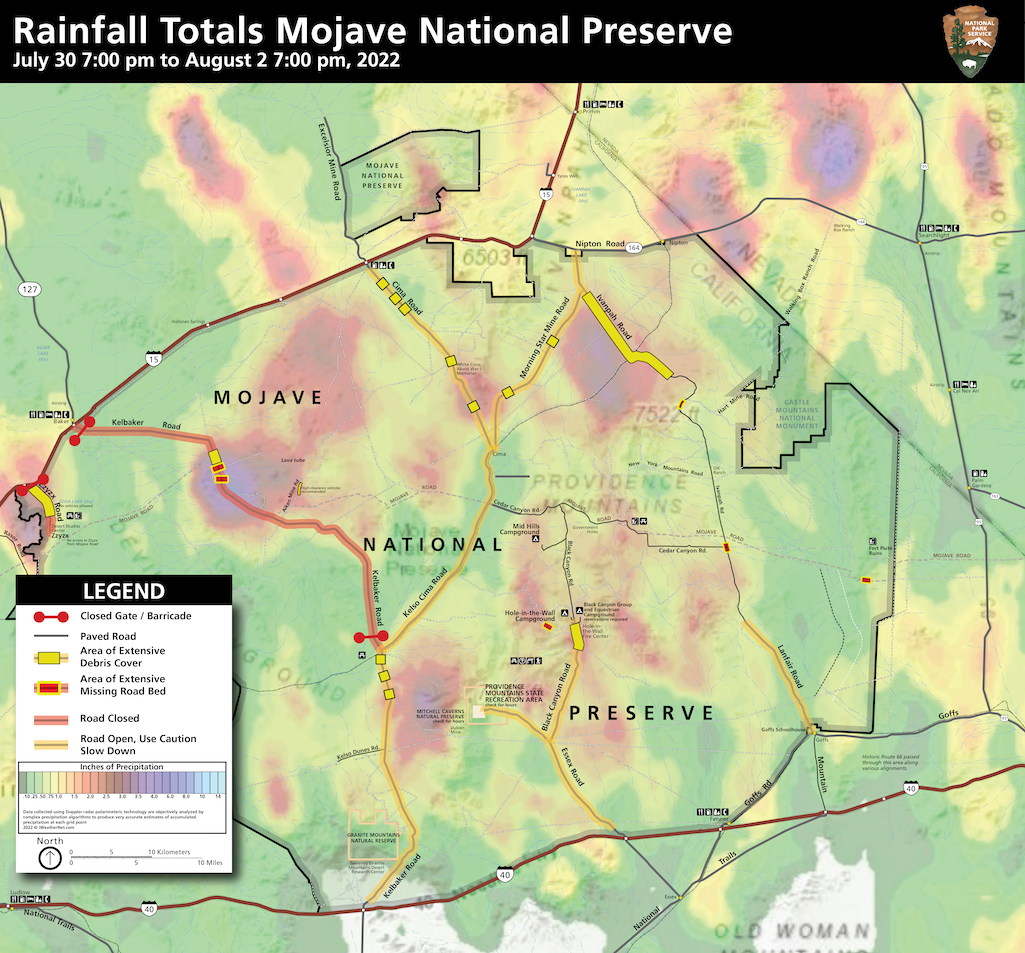 Recent storms dropped upwards of 4.5 inches of rain in spots of Mojave National Preserve/NPS