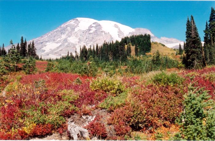 Fall colors at Mount Rainier National Park/NPS, Sue Russell