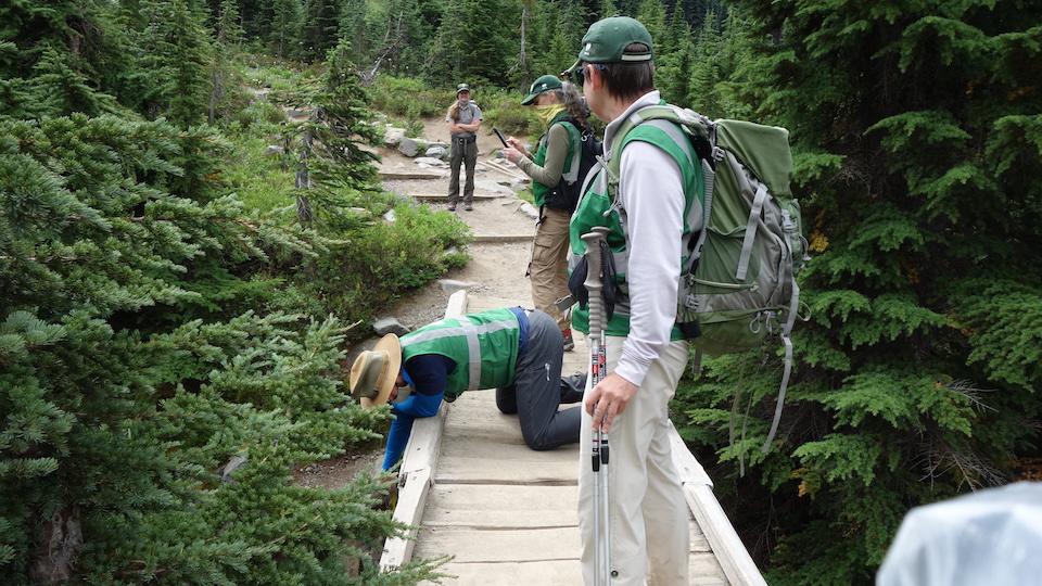 Citizen scientists enjoy the splendor of Mount Rainier National Park while contributing to the knowledge base/WNPF, cit