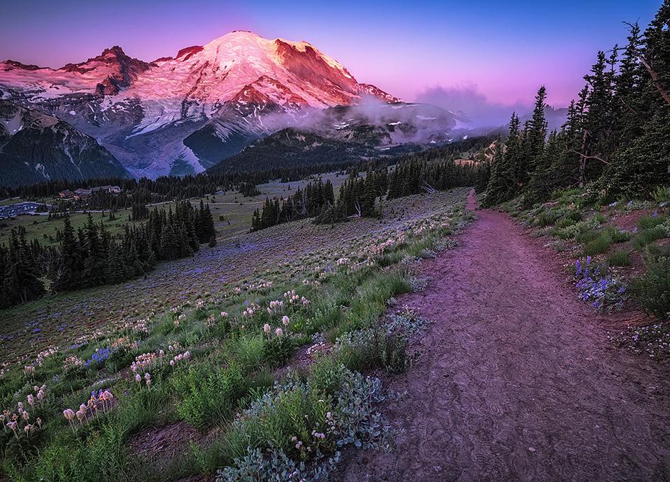Morning alpenglow over "The Mountain," Mount Rainier National Park / Rebecca Latson