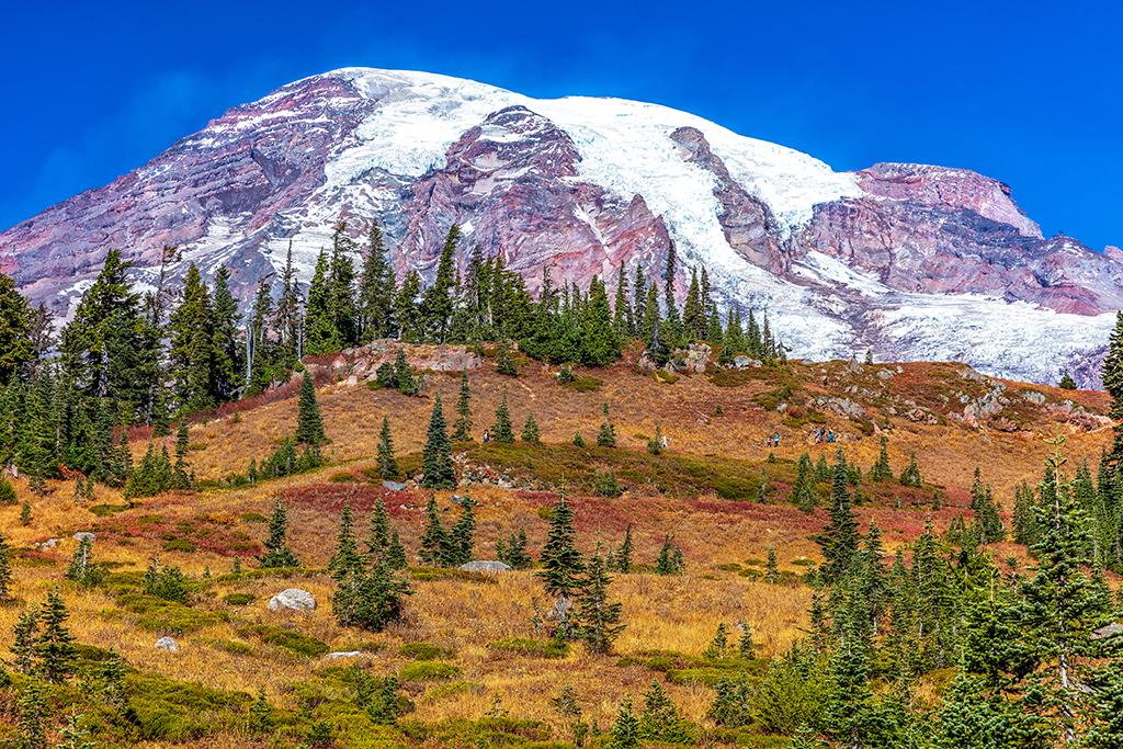 An autumn view of The Mountain - converted to sRGB prior to uploading to site, Mount Rainier National Park / Rebecca Latson