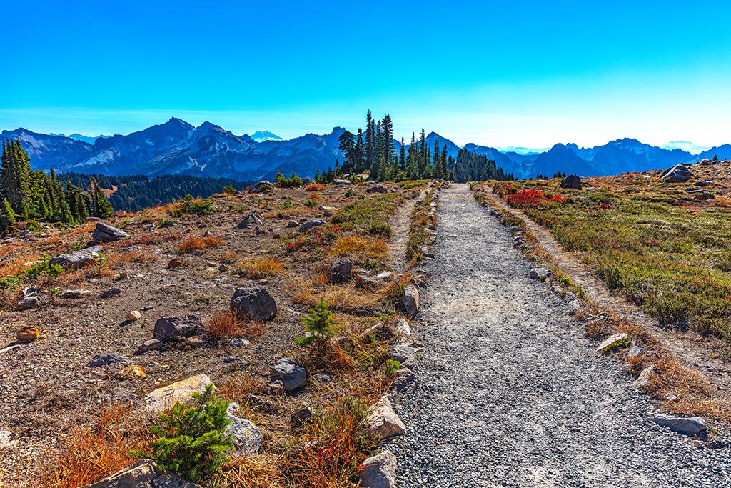 The view down the Skyline Trail, Mount Rainier National Park / Rebecca Latson