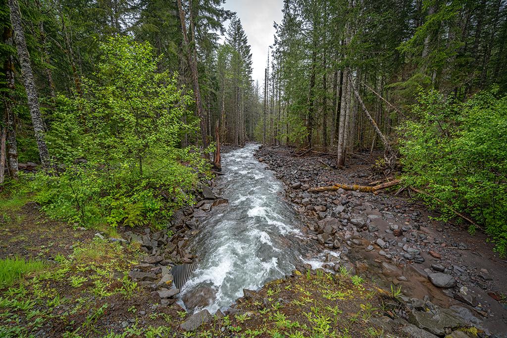 A late-spring rush of water, Mount Rainier National Park / Rebecca Latson