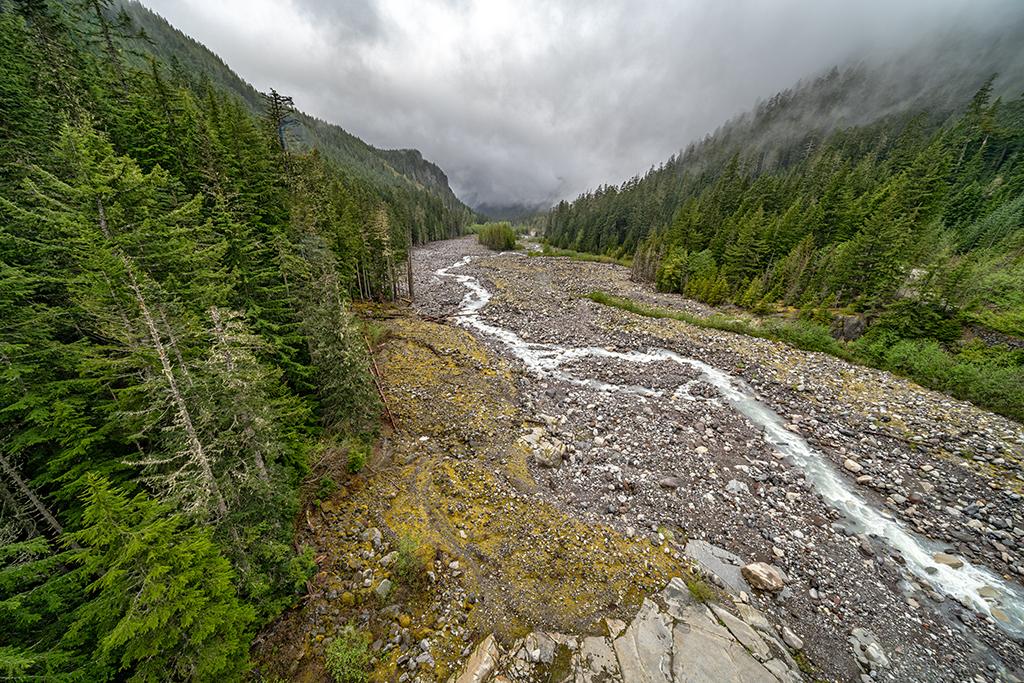 The view downriver, Mount Rainier National Park / Rebecca Latson