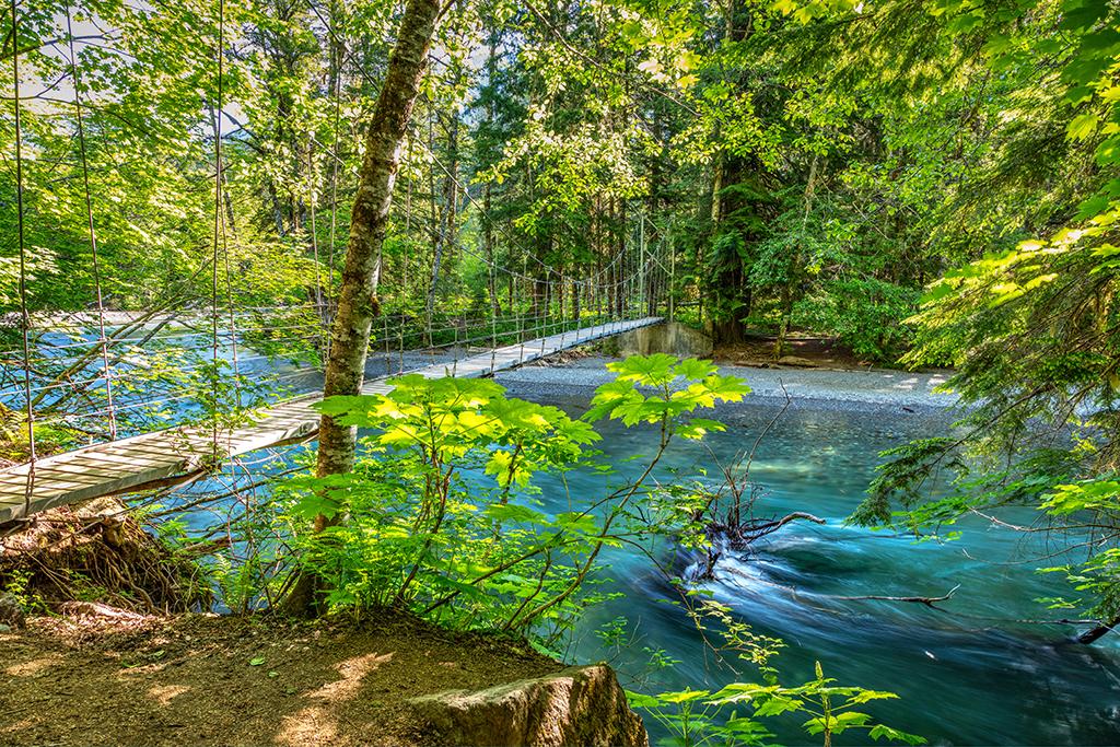 The suspension bridge over the Ohanapecosh River, Grove of the Patriarchs Trail,Mount Rainier National Park / Rebecca Latson