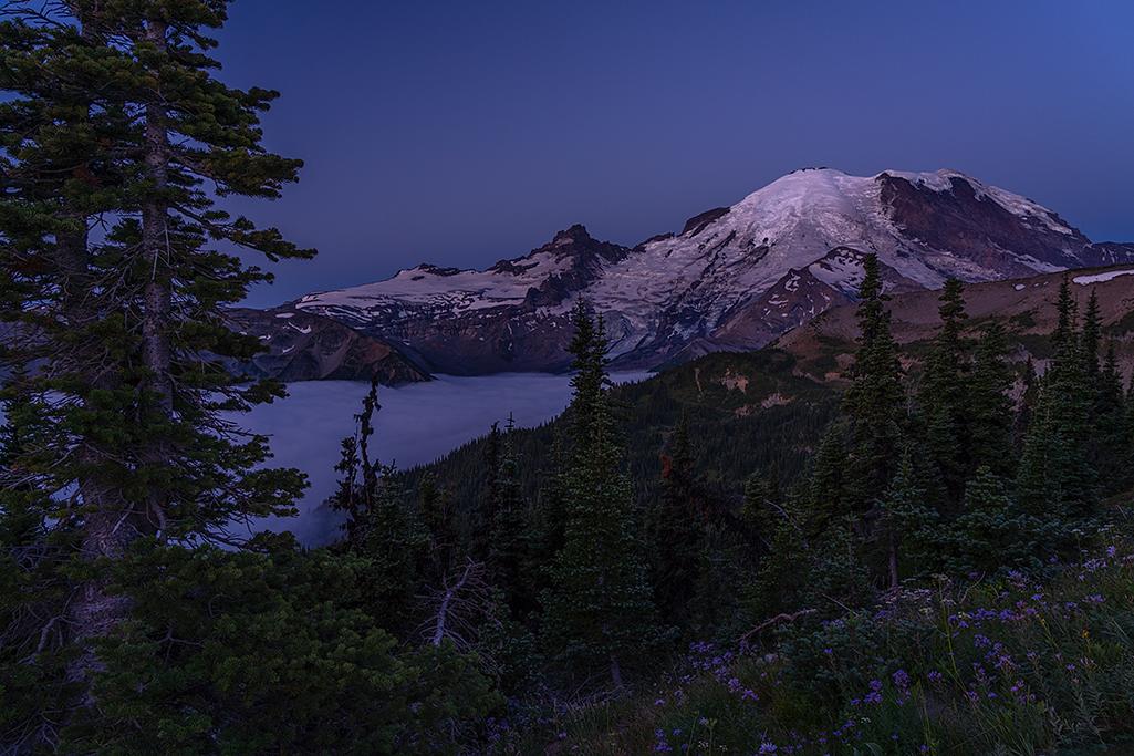 Morning blue hour over "The Mountain," Mount Rainier National Park / Rebecca Latson