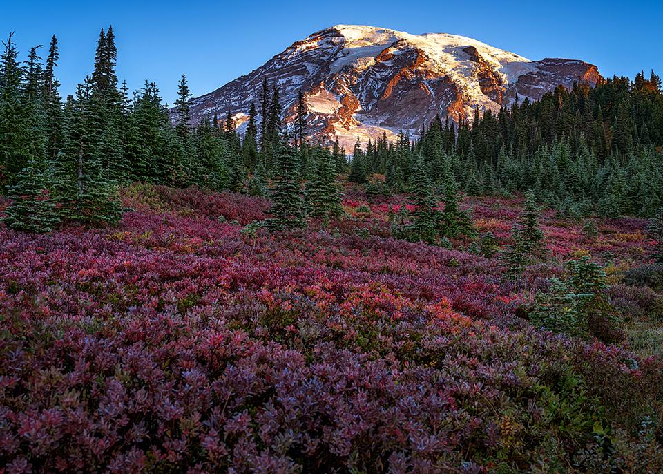 An autumn sunrise over Paradise, Mount Rainier National Park / Rebecca Latson