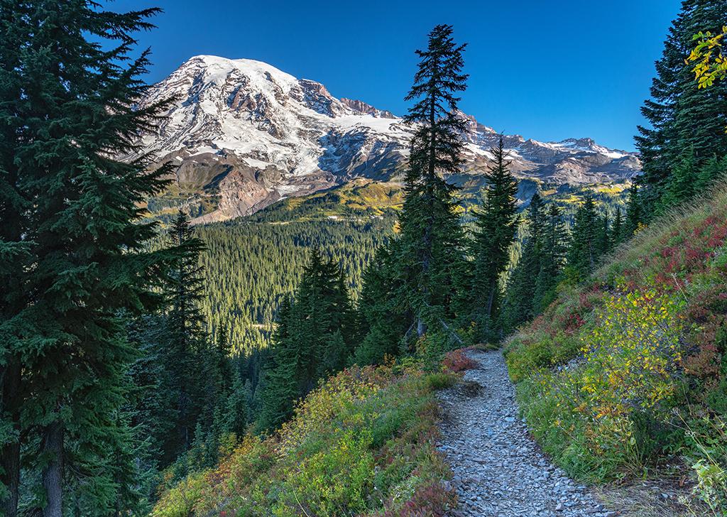 Looking downtrail toward "The Mountain" along Pinnacle Peak Trail, Mount Rainier National Park / Rebecca Latson