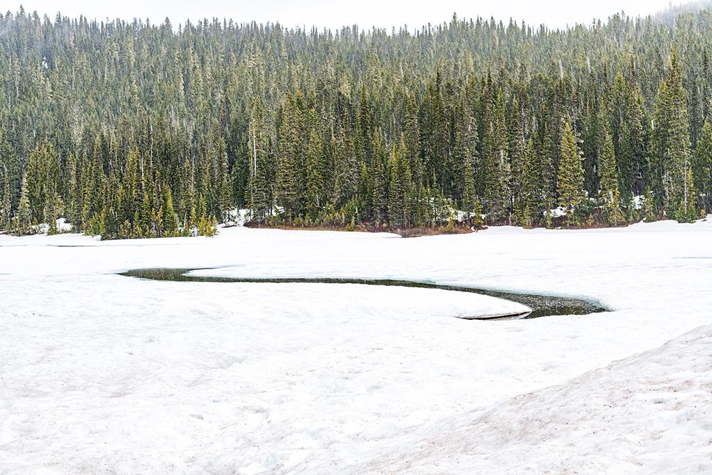 An s-curve of water at Reflection Lakes, Mount Rainier National Park / Rebecca Latson