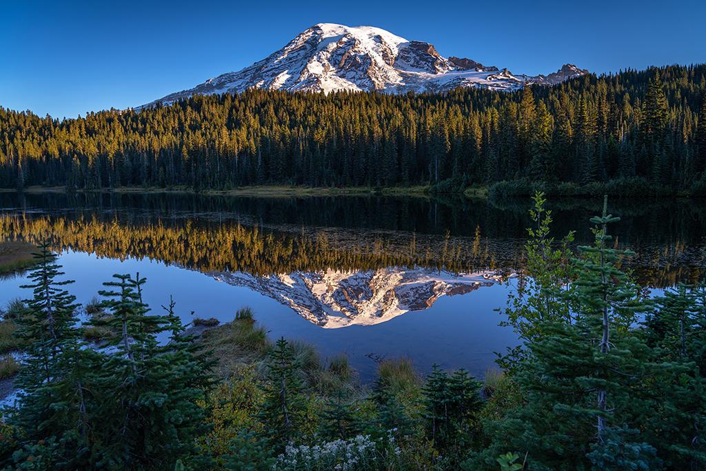 "The Mountain" and its mirror image at Reflection Lakes, Mount Rainier National Park / Rebecca Latson