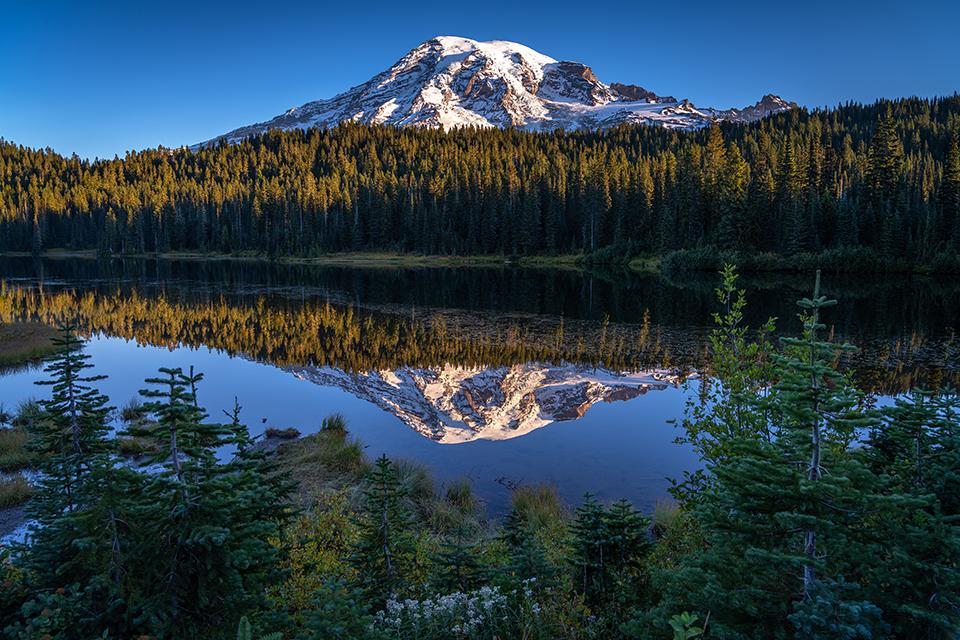 "The Calendar Shot," Mount Rainier National Park / Rebecca Latson