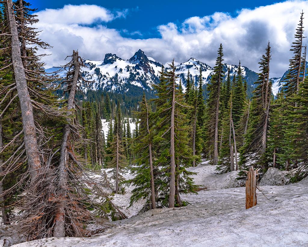 Snow, trees and the Tatoosh Range on a May day, Mount Rainier National Park / Rebecca Latson