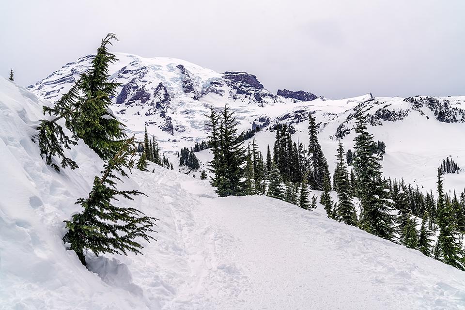 A snowy winter trail to "The Mountain," Mount Rainier National Park / Rebecca Latson