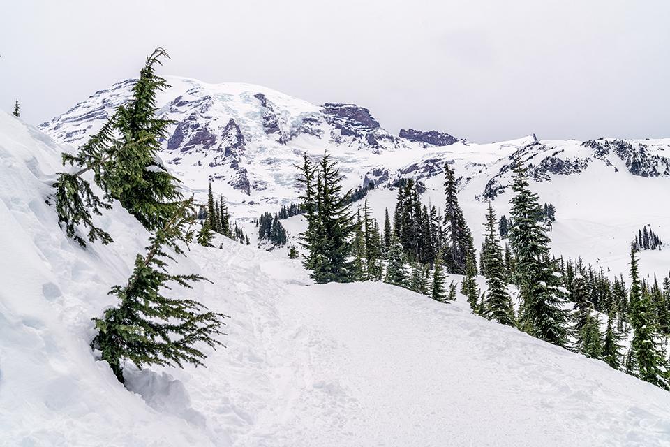 A snow trail toward "The Mountain," Mount Rainier National Park / Rebecca Latson
