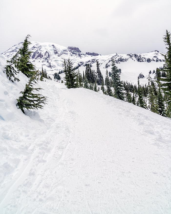 A snow trail to "The Mountain," Mount Rainier National Park / Rebecca Latson