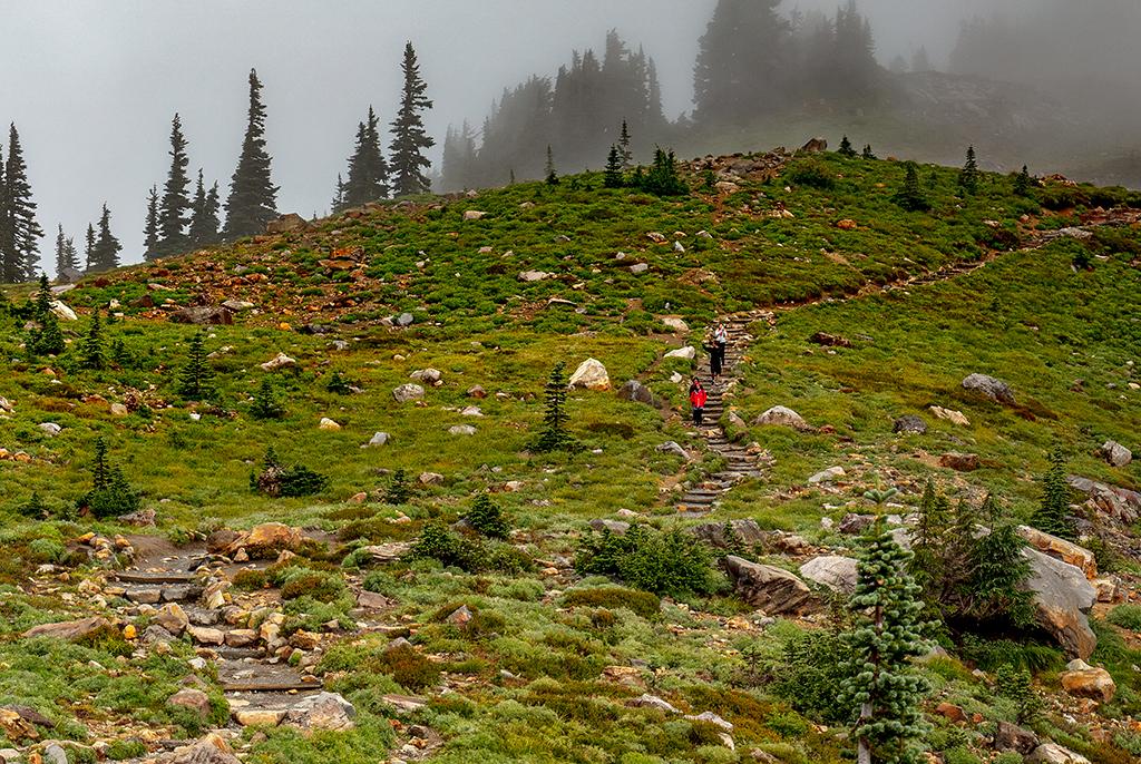 Hiking the Skyline Trail in all kinds of weather, Mount Rainier National Park / Rebecca Latson