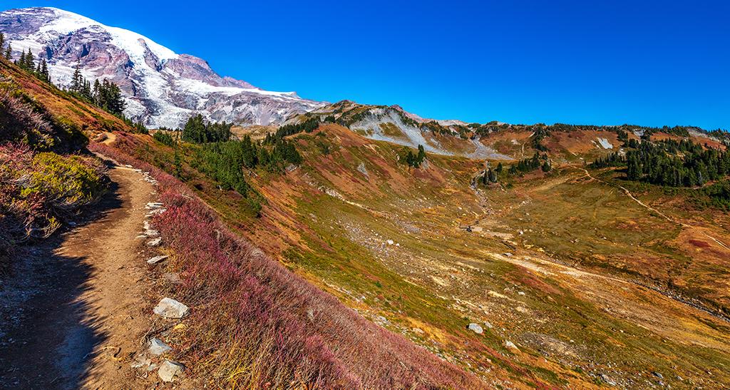 The view along the Alta Vista trail, Mount Rainier National Park / Rebecca Latson