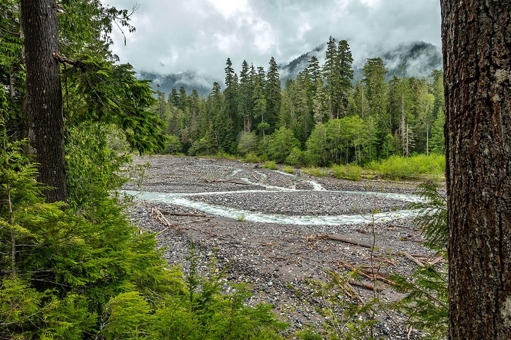 The Nisqually River, Mount Rainier National Park / Rebecca Latson