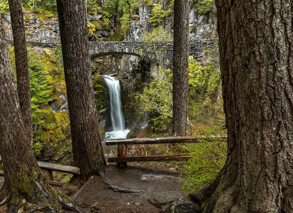 Tree trunk and log rail geometry at Christine Falls, Mount Rainier National Park / Rebecca Latson