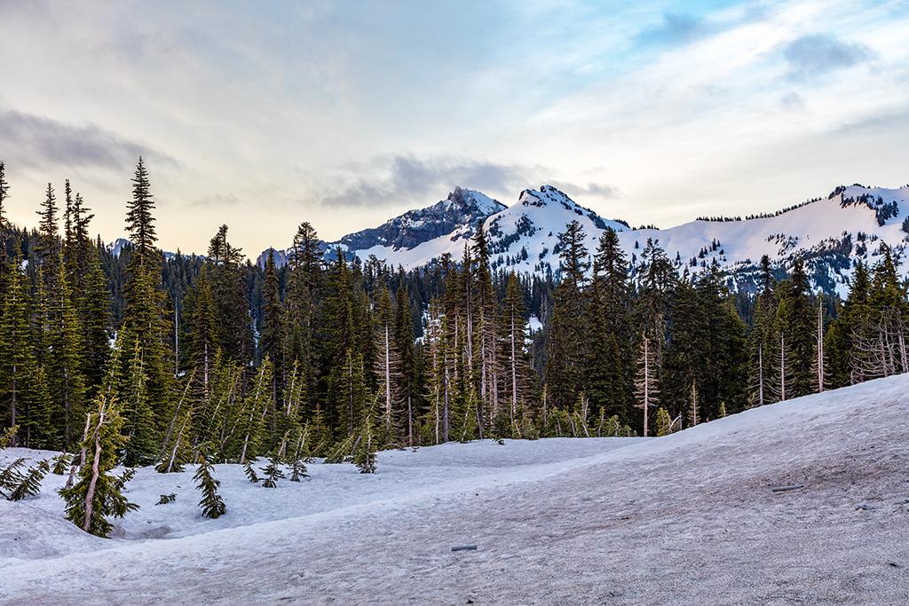 Early morning in Paradise, Mount Rainier National Park / Rebecca Latson