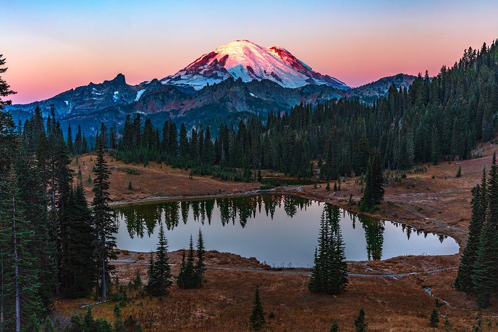 Dawn's rosy glow, Mount Rainier National Park / Rebecca Latson