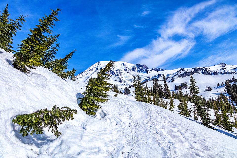 Blue sky and snow in the spring at Paradise, Mount Rainier National Park / Rebecca Latson