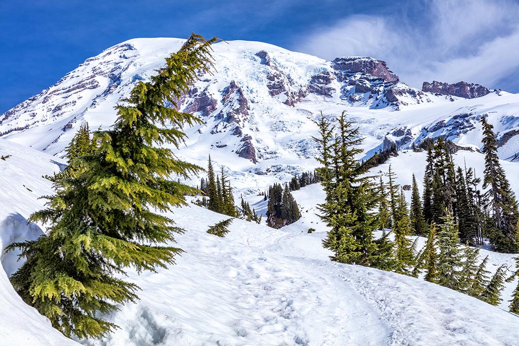 A clear May day in Paradise, Mount Rainier National Park / Rebecca Latson