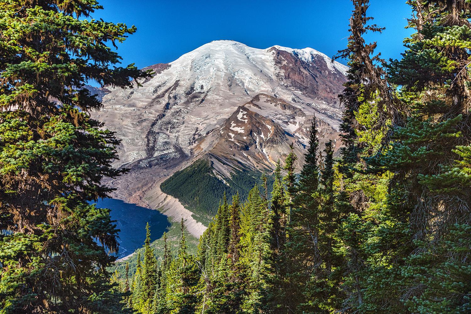 The view from Nisqually Vista Trail, Mount Rainier National Park / Rebecca Latson