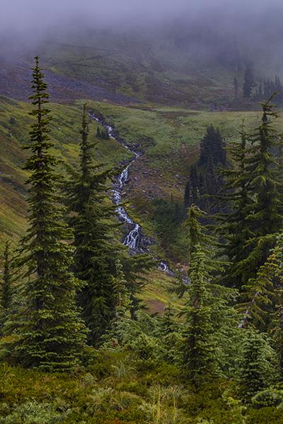 Fog, falls and forest along the Alta Vista Trail, Mt. Rainier National Park / Rebecca Latson