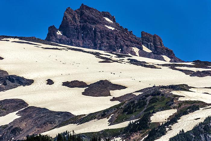 Climbers heading up the mountain, Mount Rainier National Park / Rebecca Latson