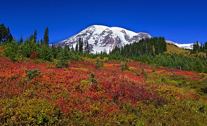 Paradise in the fall, Mount Rainier National Park / Rebecca Latson 