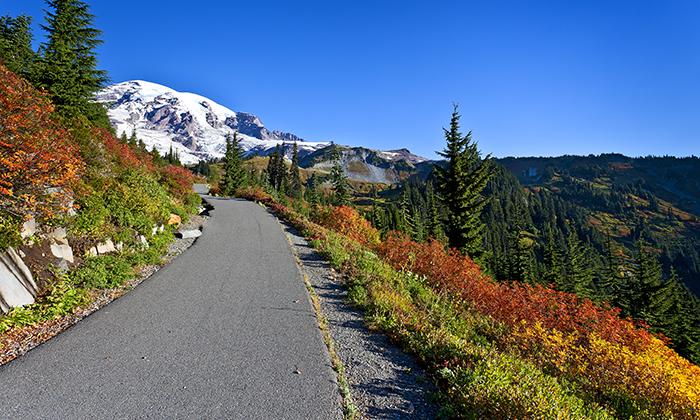 Walking along the paved trail to Myrtle Falls, Mount Rainier National Park / Rebecca Latson
