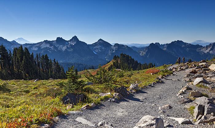 Looking back down from whence I came along the Skyline Trail, Mount Rainier National Park / Rebecca Latson