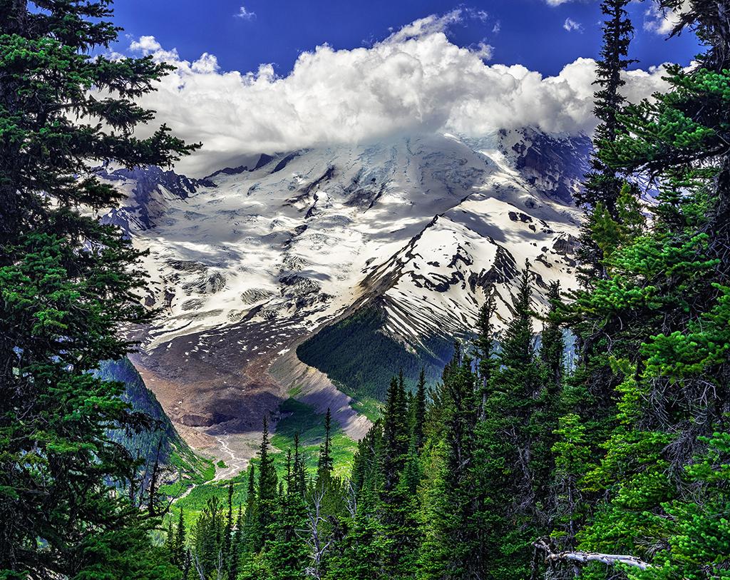 Emmons Vista, Mount Rainier National Park / Rebecca Latson