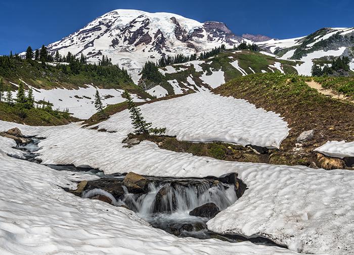 An early summer day at the creek, Mount Rainier National Park / Rebecca Latson
