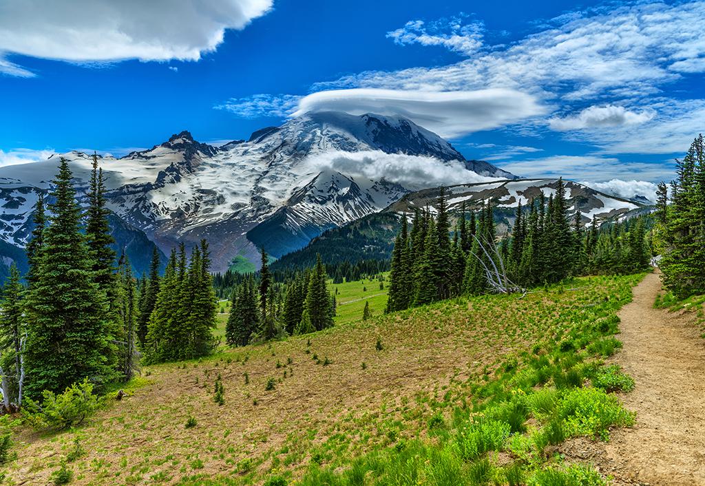 A view of "The Mountain" from Sourdough Ridge trail, Mount Rainier National Park / Rebecca Latson