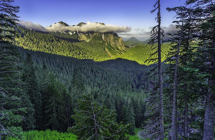 Morning over the Tatoosh mountains, Mount Rainier National Park / Rebecca Latson