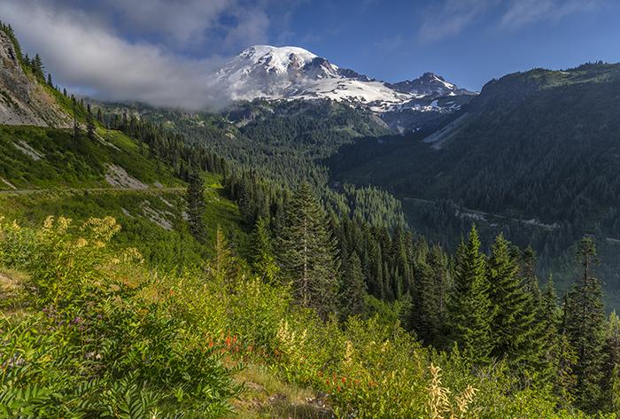 &quot;Is this The Beauty?&quot;  Yes, this is The Beauty, Mount Rainier National Park / Rebecca Latson