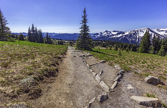 Heading back down the trail to the Sunrise Visitor Center, Mount Rainier National Park / Rebecca Latson