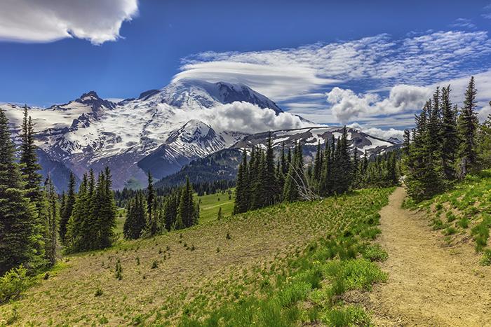 The view from Sourdough Ridge Trail, Mount Rainier National Park / Rebecca Latson