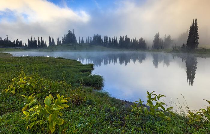 Morning view along Tipsoo Lake, Mt. Rainier National Park / Rebecca Latson