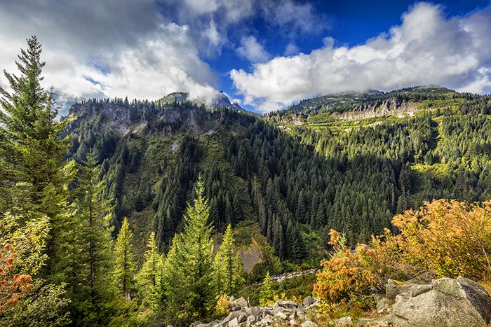 A view of the scenery along Stevens Canyon Road, Mount Rainier National Park / Rebecca Latson