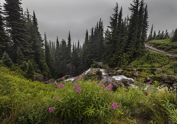 Across the way from the top of Myrtle Falls, Mount Rainier National Park / Rebecca Latson