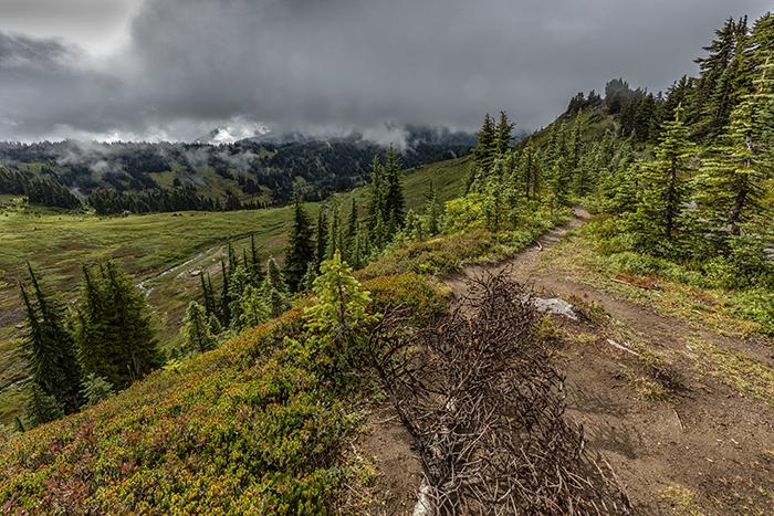 Looking back on a part of the Alta Vista loop, Mount Rainier National Park / Rebecca Latson
