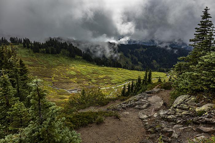 The view from Alta Vista, Mt. Rainier National Park / Rebecca Latson