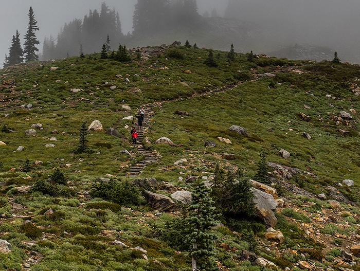 Hiking the Skyline Trail, Mt. Rainier National Park / Rebecca Latson