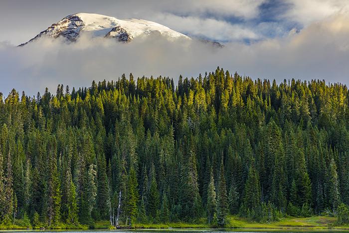 A morning view of The Mountain at Reflection Lake, Mt. Rainier National Park / Rebecca Latson