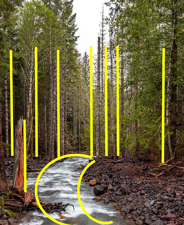 Tall tree lines and an arc of rushing water, Mount Rainier National Park / Rebecca Latson