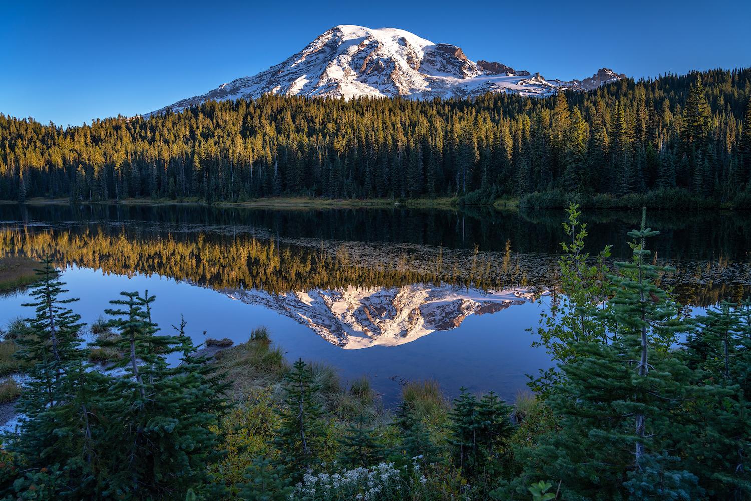This is the moment for National Parks Traveler.